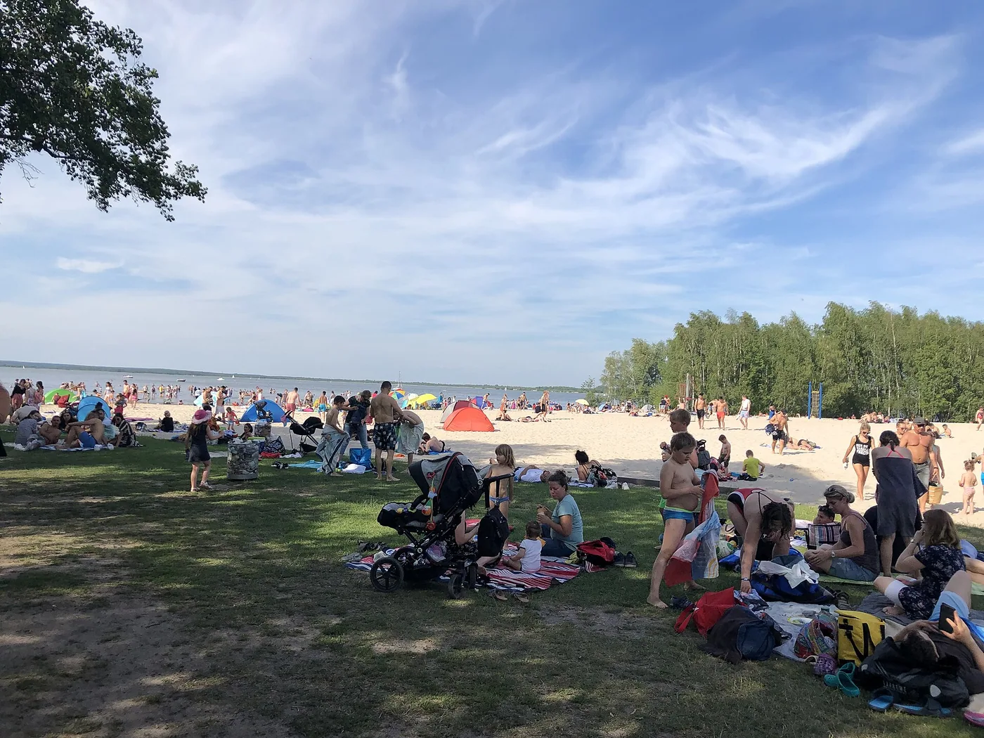 Badeinsel Steinhude / Steinhuder Meer - Neujahrsanbaden & Winterbaden
