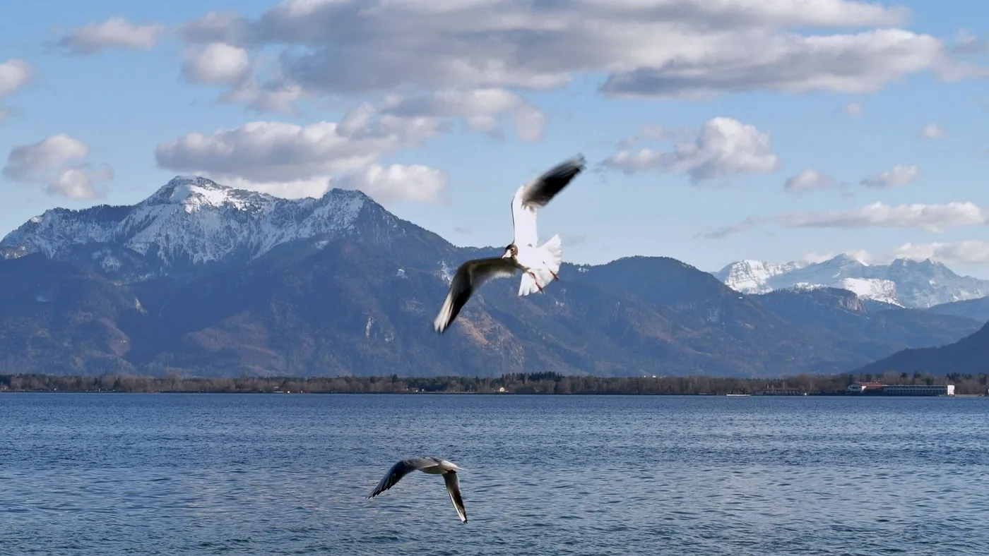 Chiemsee