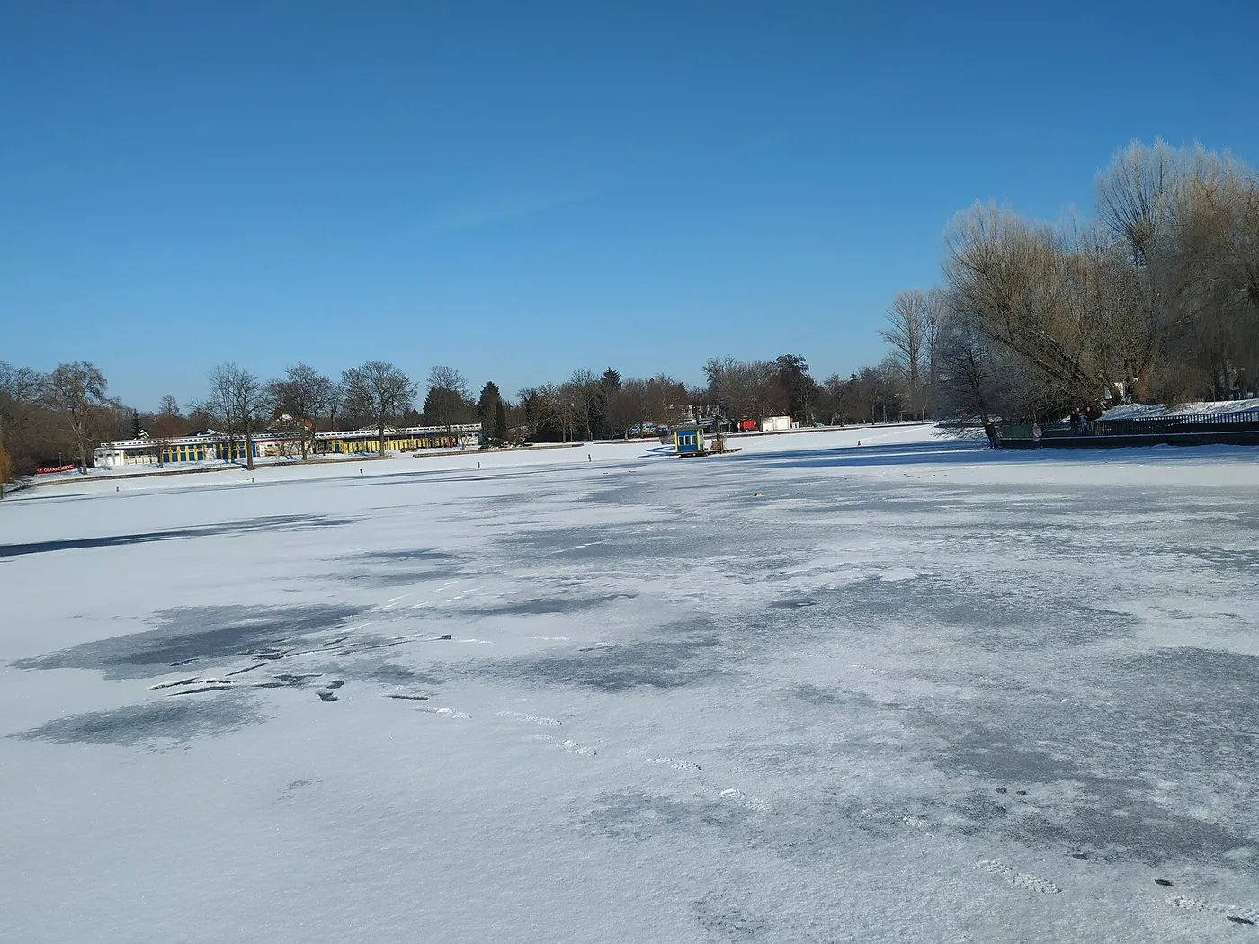 Berliner Seehunde – Winterschwimmen im Freibad Orankesee, Bild 2 von 3