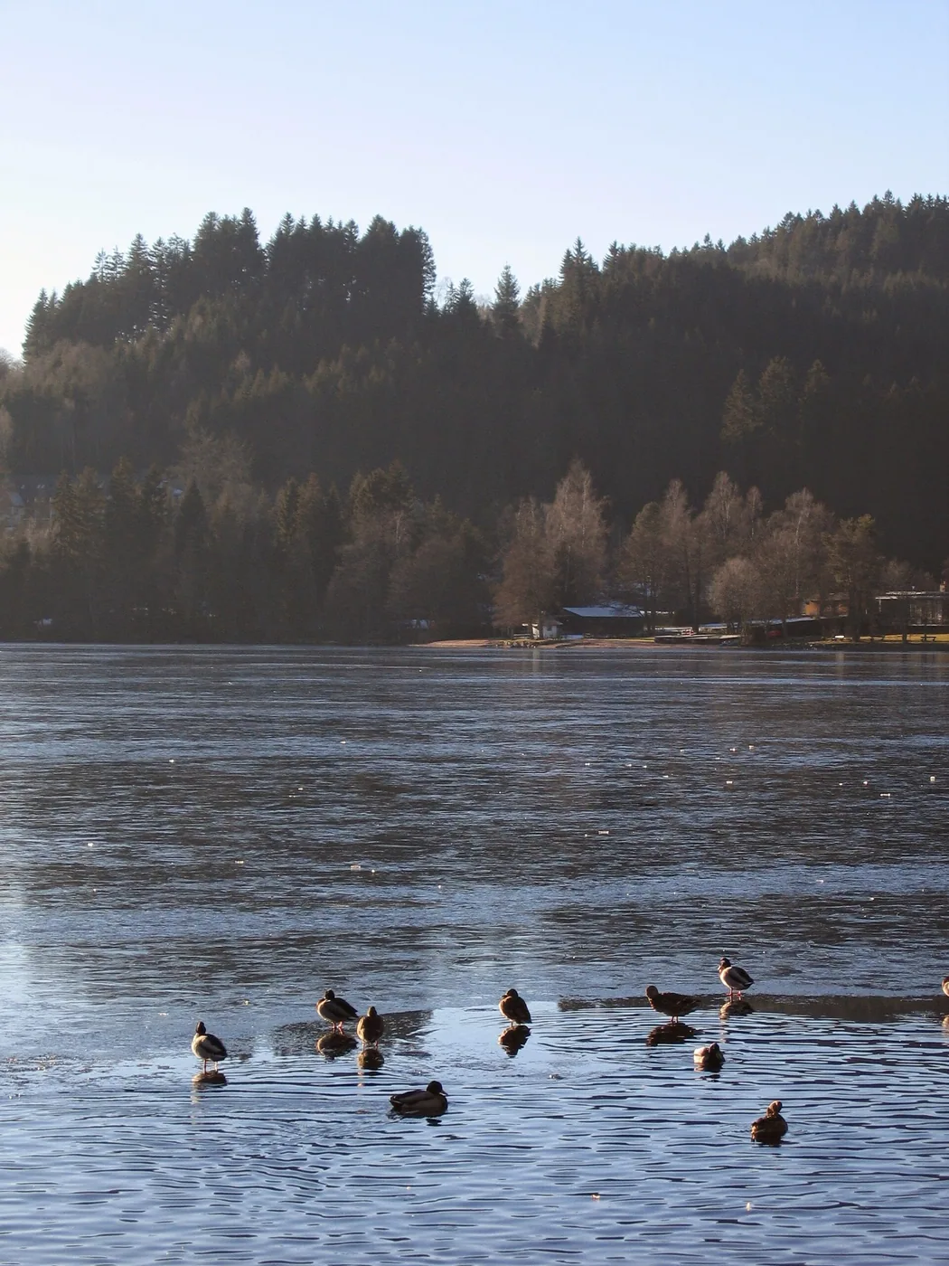 Titisee