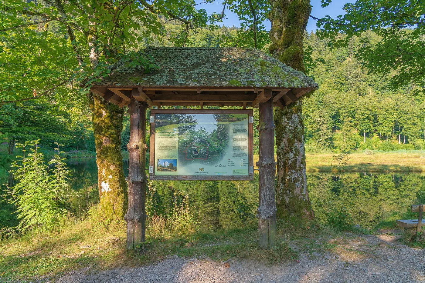 Nonnenmattweiher in Kleines Wiesental, Bild 2 von 3