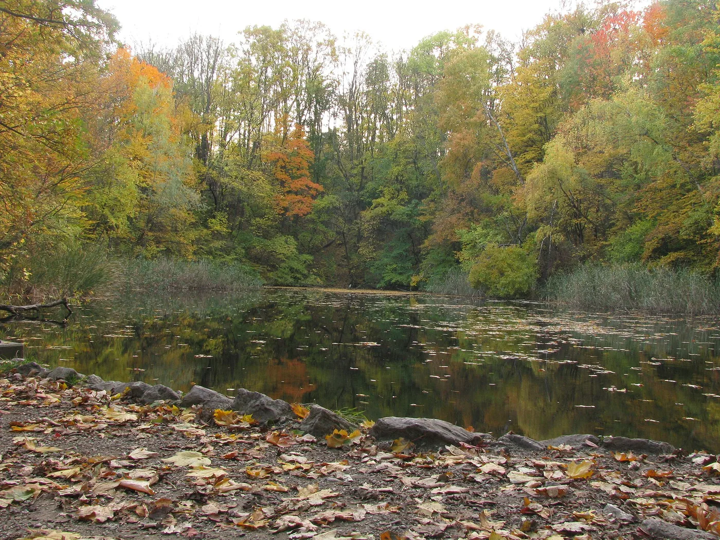 Silbersee in Freiburg im Breisgau, Bild 2 von 3