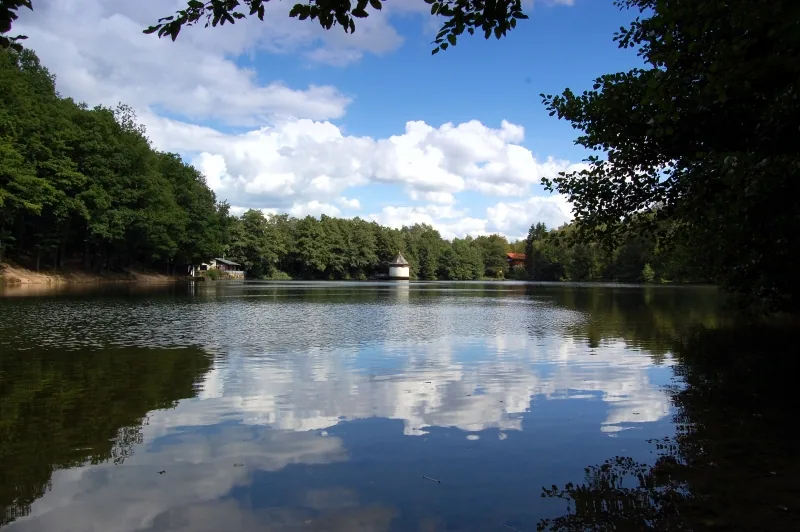 Eisschwimmen im Itzenplitzer Weiher (Merchweiler Seelöwen)