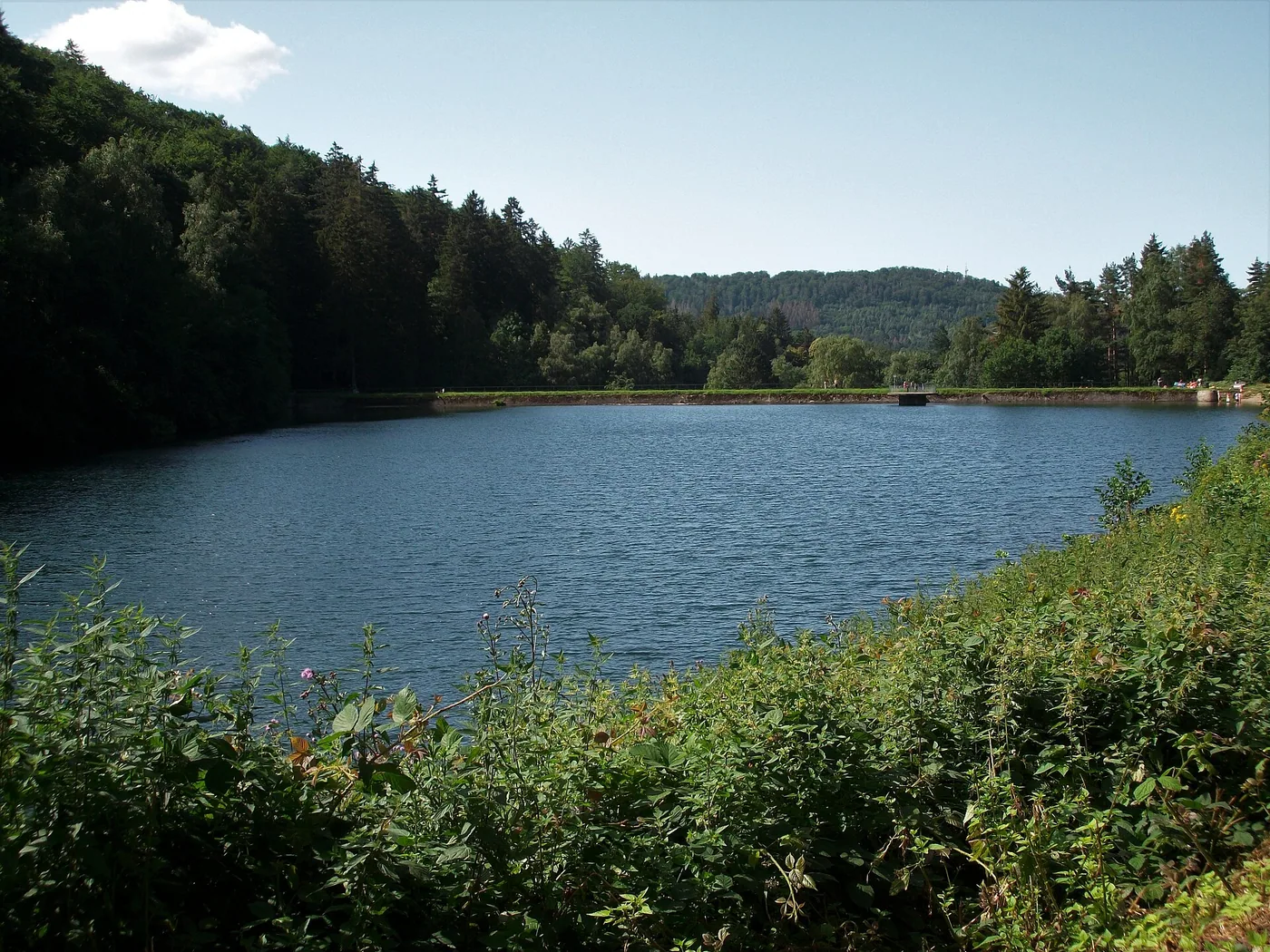 Goslarsche Robben - Eisbaden am Herzberger Teich, Bild 3 von 3
