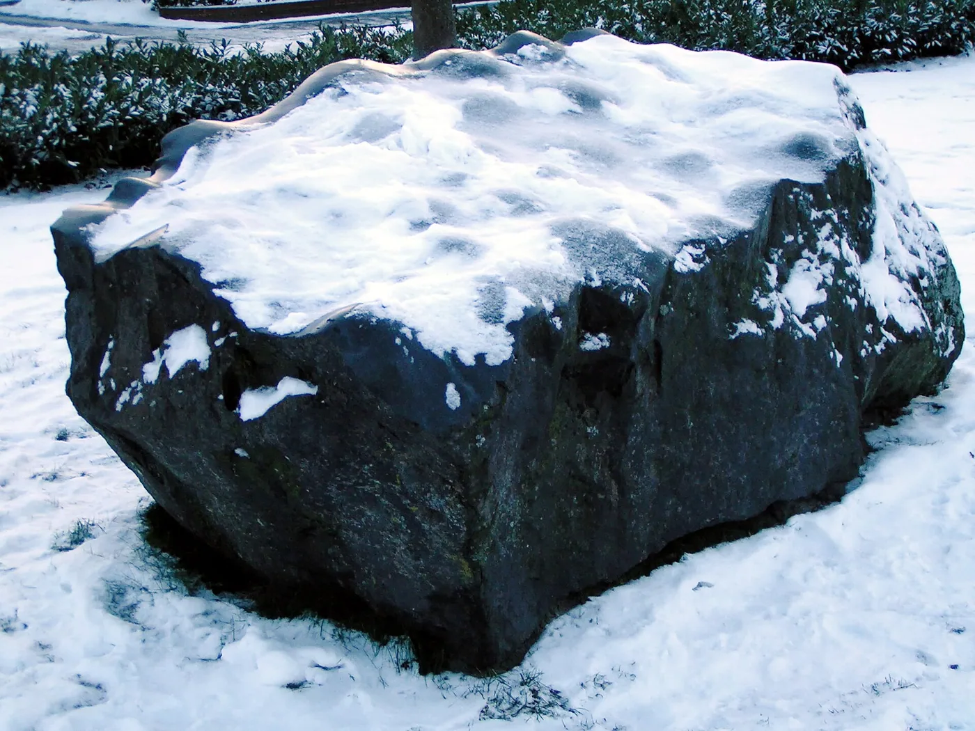 Lohner See - Gruppe 'Eis und Nicebaden'