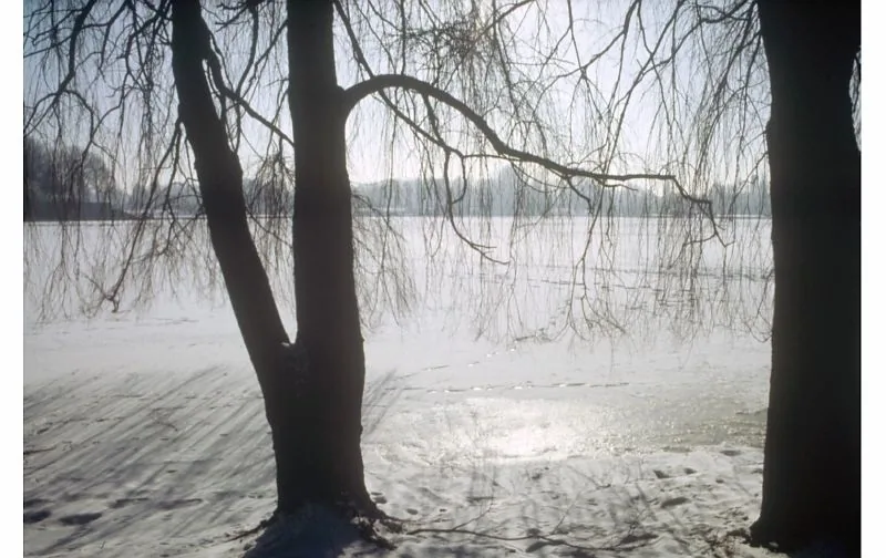 Stadtparksee