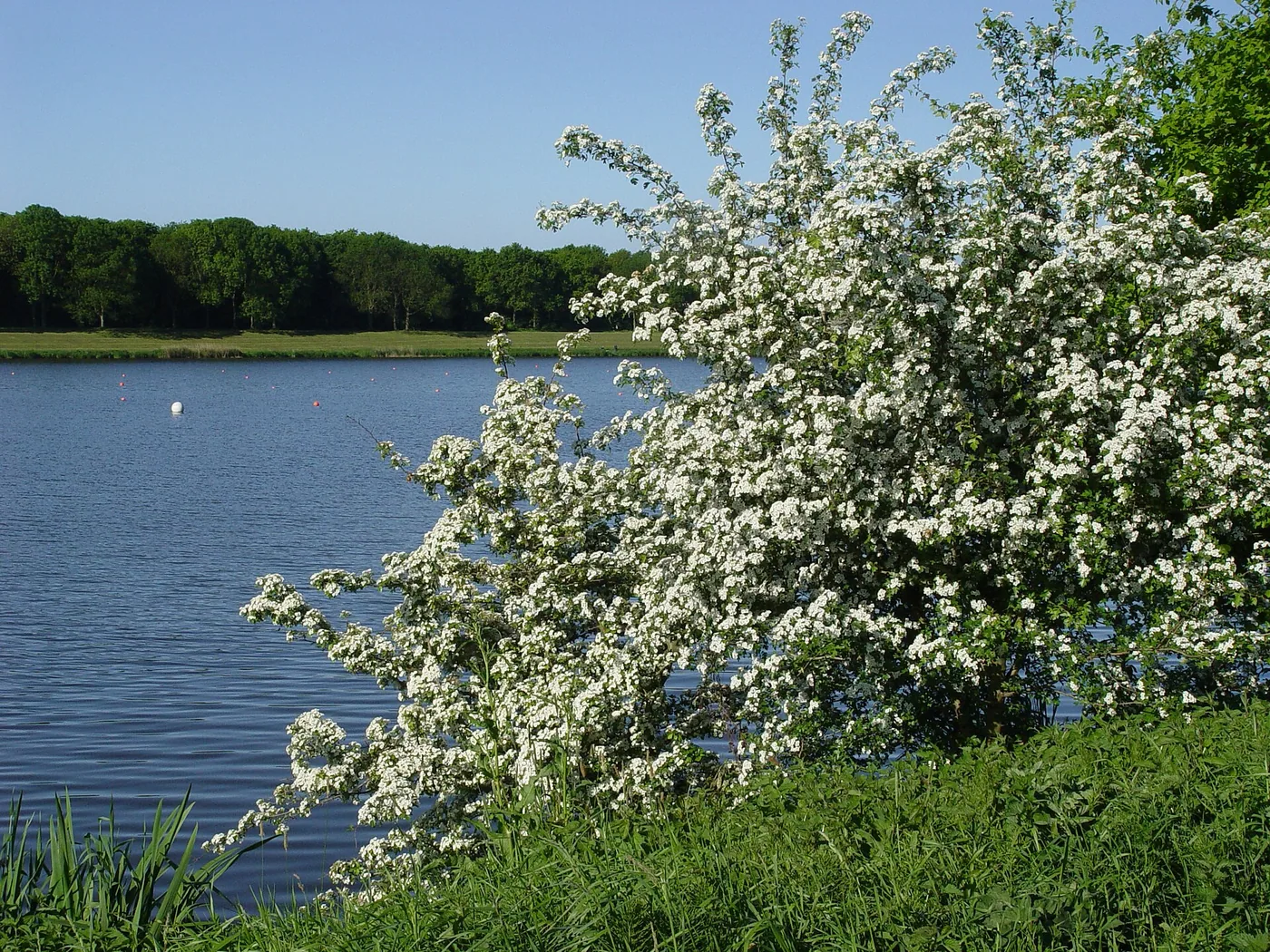 Werdersee – Eisbaden-Gruppe
