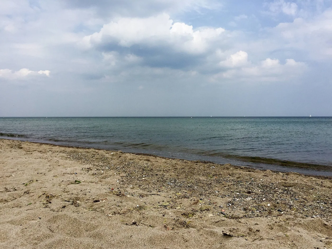 Neujahrsanbaden Dahme, Bild 2 von 3