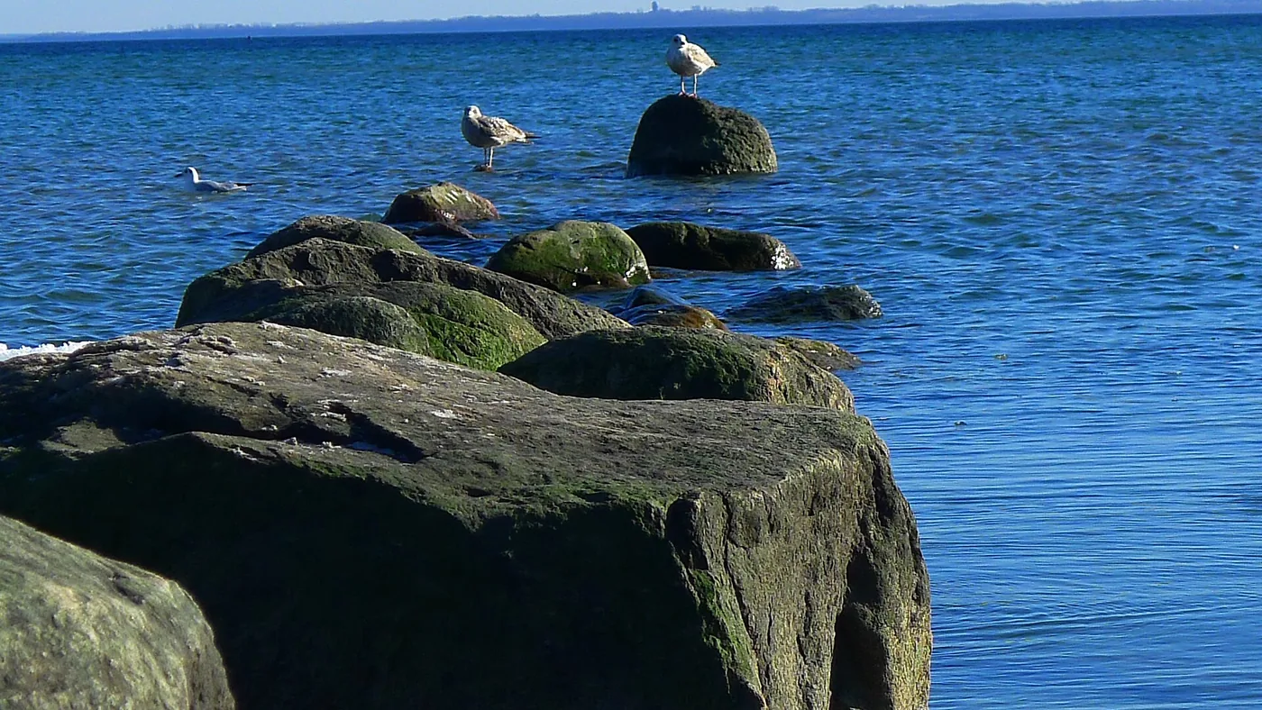 Neujahrsanbaden Grömitz, Bild 3 von 3