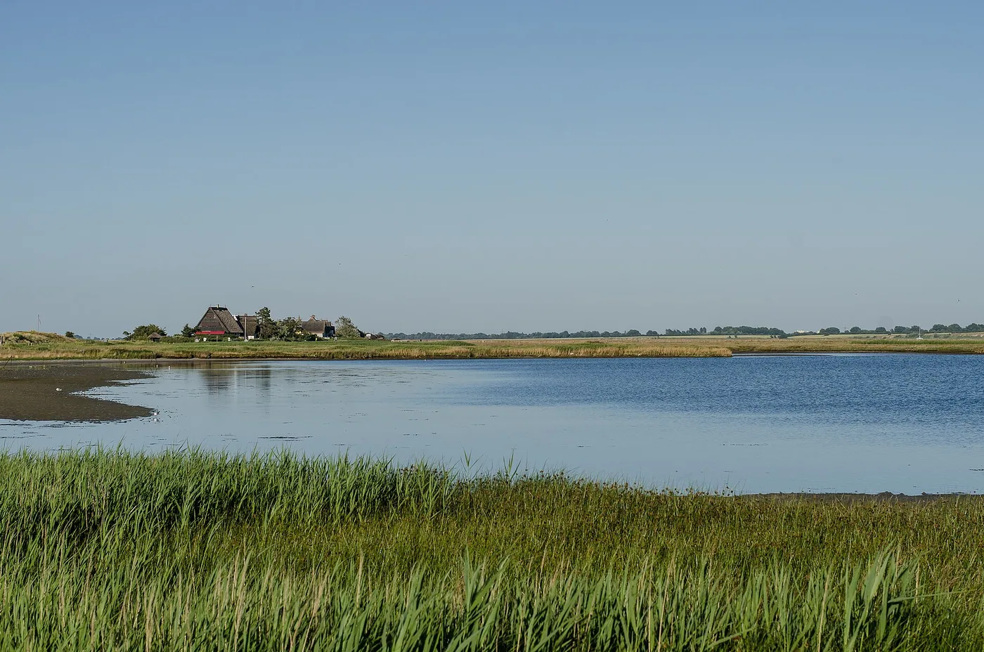Neujahrsanbaden Heiligenhafen