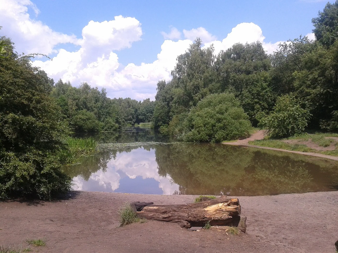 Unisee / Stadtwaldsee – Winterbaden in Bremen, Bild 3 von 3