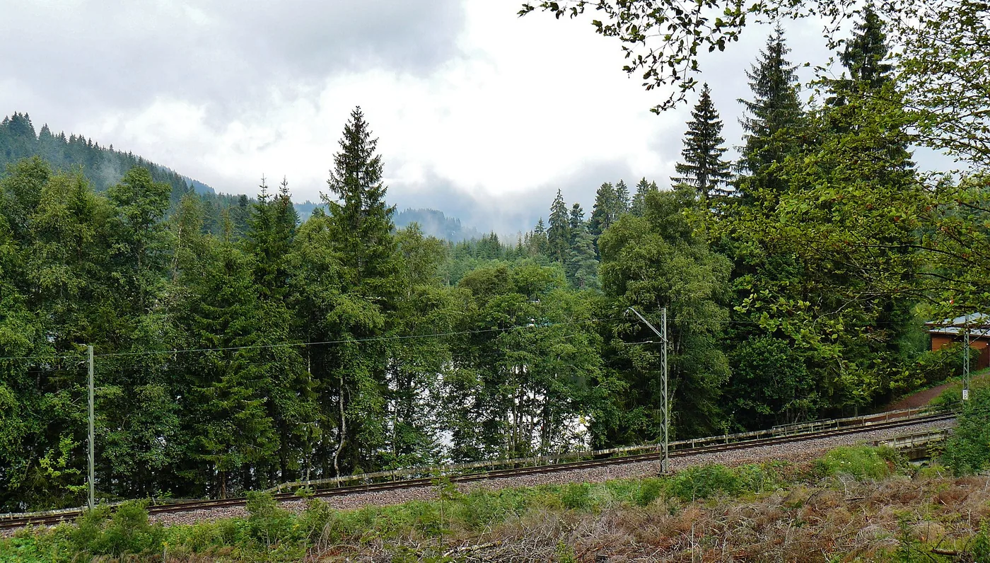 Windgfällweiher